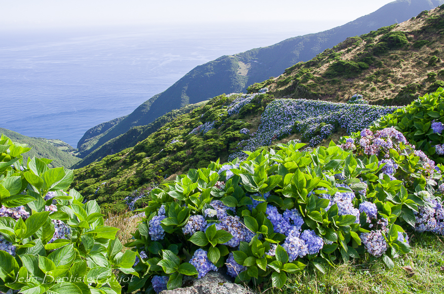 Açores : Sao Miguel, Sao Jorge, Pico, Faial.