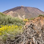 parc, national, Teide, volcan, Tenerife, Canaries