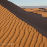 Jean-Baptiste Guyot, photographie, Désert, Maroc,, Sahara, Zagora, dune, sable, erg, rides